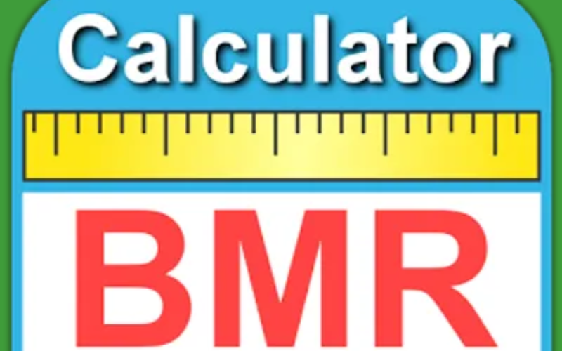 bmr calculator